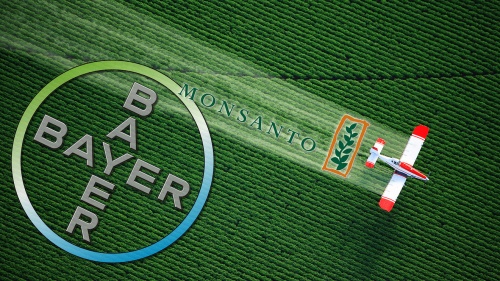 Nutrire il pianeta, da oggi ci pensa Bayer